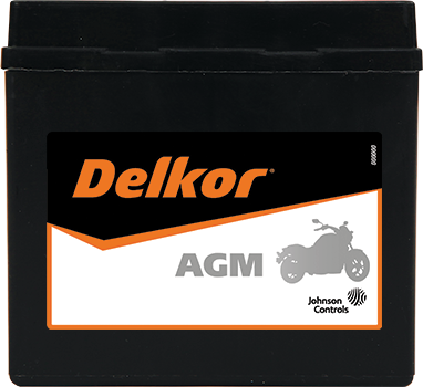 Delkor Motorcycle AGM MF DTZ7S-BS
