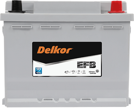 Delkor EFB LN2