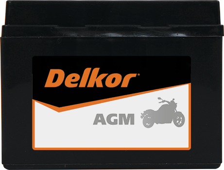 Delkor Motorcycle AGM MF DTX4L-BS