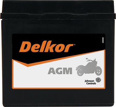 Delkor Motorcycle AGM MF DTX5L-BS