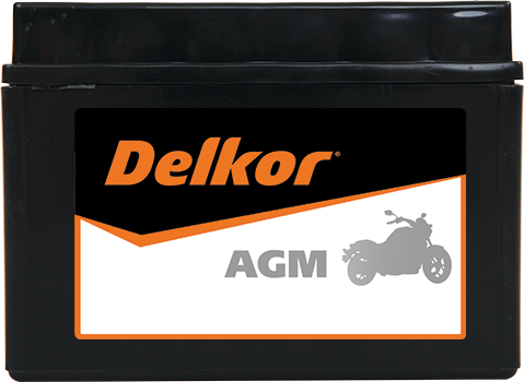 Delkor Motorcycle AGM MF DTZ14S-BS
