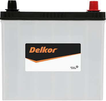 Delkor Calcium NS60LS (42B24LS)