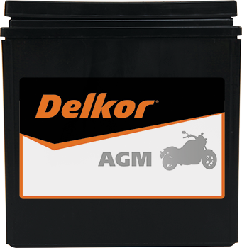 Delkor Motorcycle AGM MF DIX30L-BSA