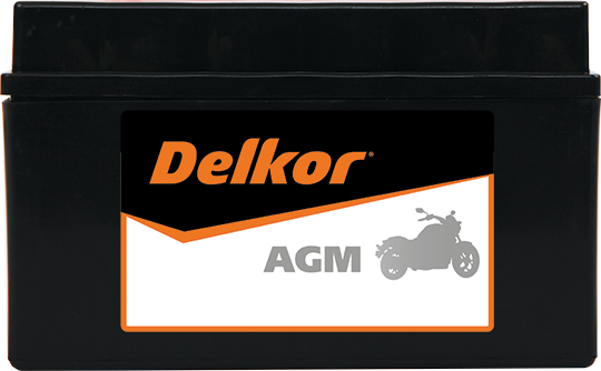 Delkor Motorcycle AGM MF DTZ10S-BS