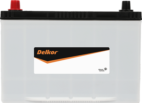 Delkor Calcium NX120-7 (95D31R)