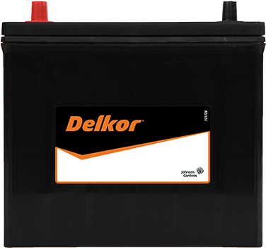Delkor Calcium P75B24LS