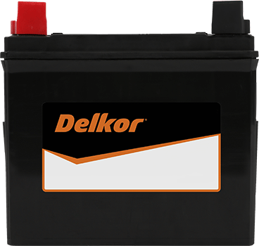 Delkor Calcium NT50-N24 (28A19R)