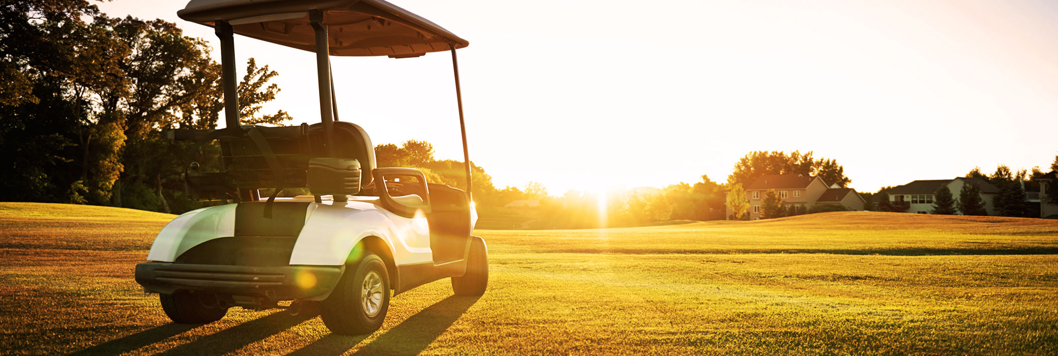 Golf Cart Delkor Deep Cycle batteries are perfect for your recreational vehicle needs