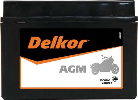 Delkor Motorcycle AGM MF DTZ14S-BS