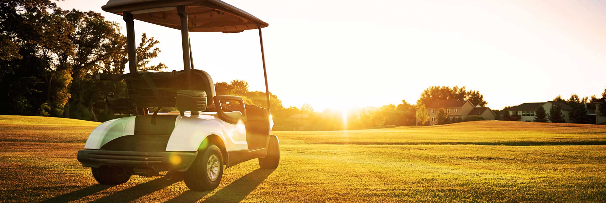 Golf Cart Delkor Deep Cycle batteries are perfect for your recreational vehicle needs