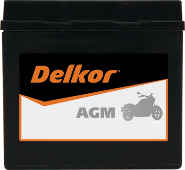 Delkor Motorcycle AGM MF DTX5L-BS